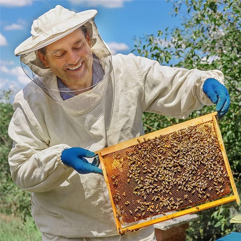30Pcs Beeswax Sheets, Natural  - Candle Making With Beeswax 评论和价格