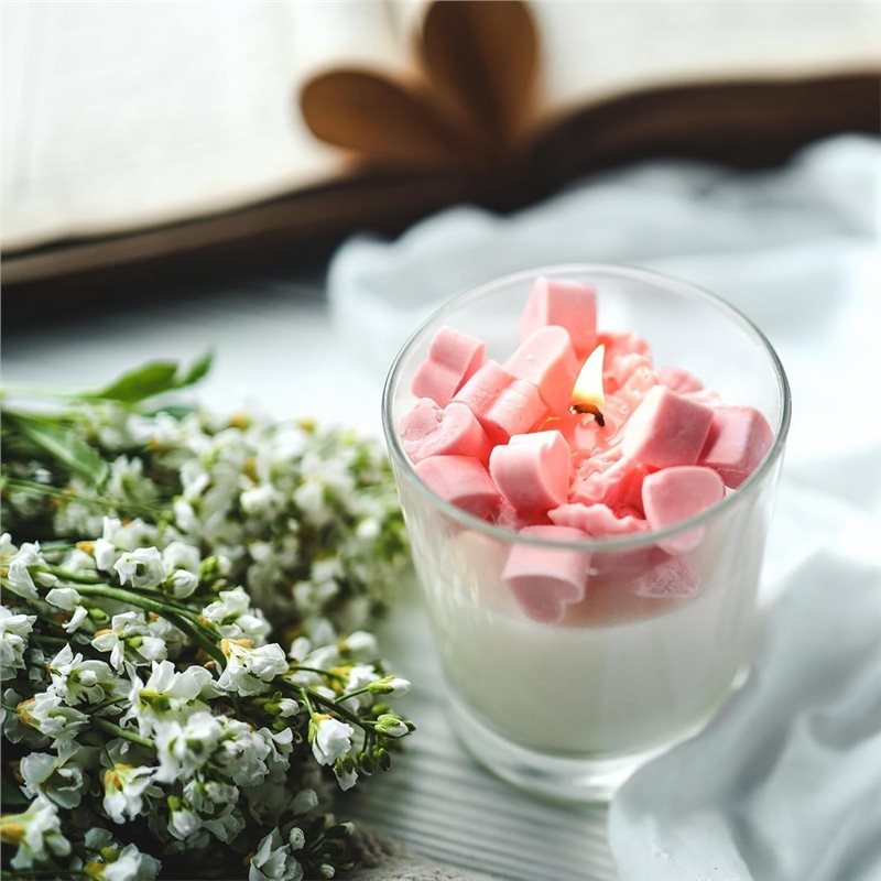 ABRU-For Candle Jars 12 Pcs- T - Candle Making Jars With Lids 评论和价格